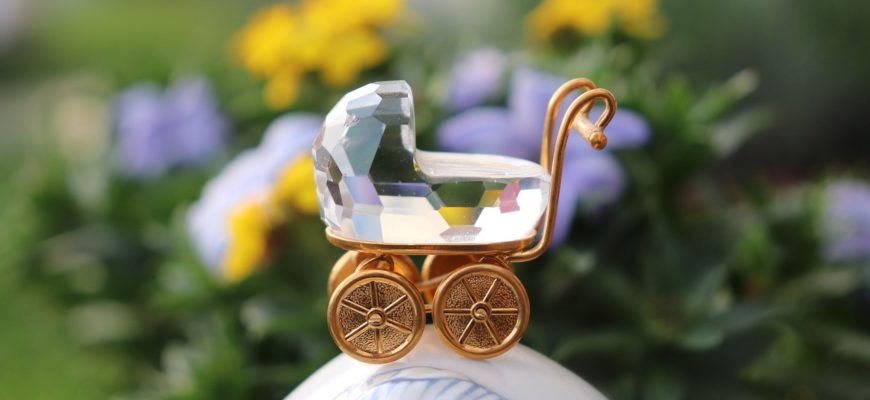 Baby Cart Baby Cart Pregnancy  - Vesna_Pixi / Pixabay